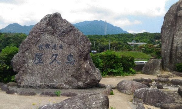 ガイドなしで行く屋久島 白谷雲水峡 コースと往復の所要時間などを紹介 観光マニアのおすすめ旅