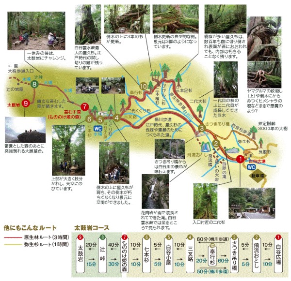 5km 自転車 所要 時間
