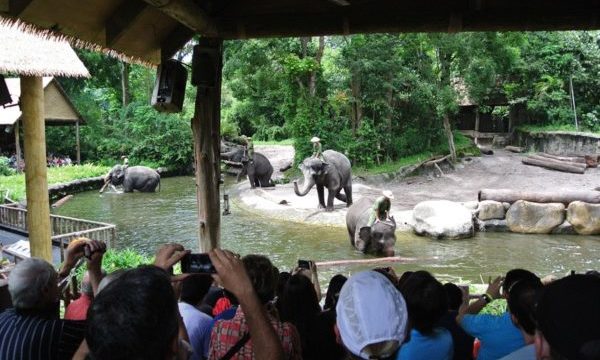 大人気のシンガポール動物園の見どころやチケット購入方法など 観光マニアのおすすめ旅