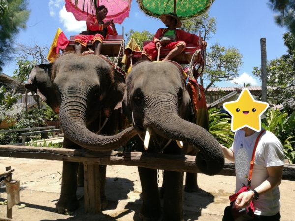 「Chang Puak Camp」で象に乗る&トラと写真も【バンコク近郊】5