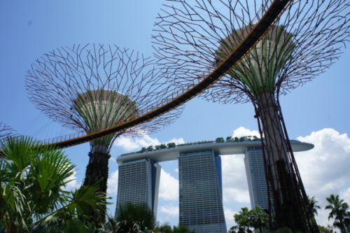 ガーデンズバイザベイの魅力と見どころ【常夏シンガポールの巨大植物園】10