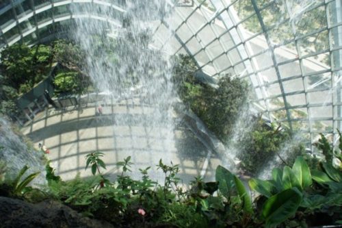 ガーデンズバイザベイの魅力と見どころ【常夏シンガポールの巨大植物園】7 (1)