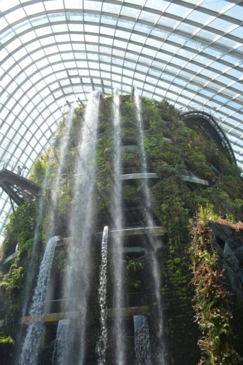 ガーデンズバイザベイの魅力と見どころ【常夏シンガポールの巨大植物園】7 (2)
